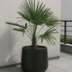 Ø:24 H:100 cm