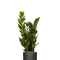 Ø:14 H:50 cm