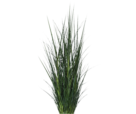 Gras Künstlich H: 173cm