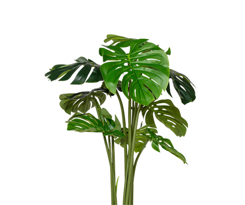 Monstera Künstlich