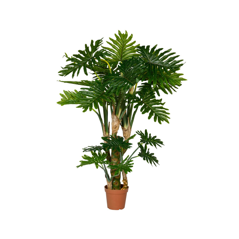 Philodendron Künstlich