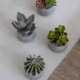 Pflanzenmix künstlich im Zementtopf (Pflanze inkl. Topf)