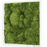 Moosbild Ballenmoos 35x35 cm