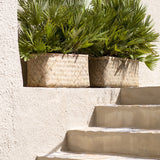 Pflanzkorb Bohemian Rafi