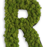 Islandmoos Piktogramm Buchstabe