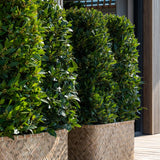 Pflanzkorb Bohemian Rafi