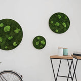 Moosbild ELLIPSOID Flach- und Ballenmoos 3er Set