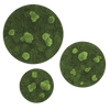 Moosbild ELLIPSOID Flach- und Ballenmoos 3er Set
