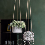 Hanging Patt Grau Finestgreen 