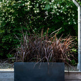 Jort Fiberstone Schwarz Finestgreen 
