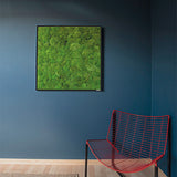 Moosbild Ballenmoos 80x80 cm