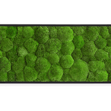 Moosbild Ballenmoos 140x40 cm