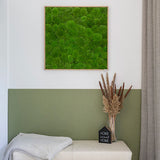 Moosbild Ballenmoos 80x80 cm