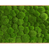 Moosbild Ballenmoos 100x60 cm