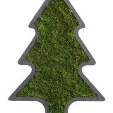 Waldmoos Piktogramm Weihnachtsbaum mit Ständer